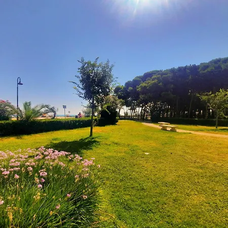 Pinolo Trilo Int 7 - Myho Casa *