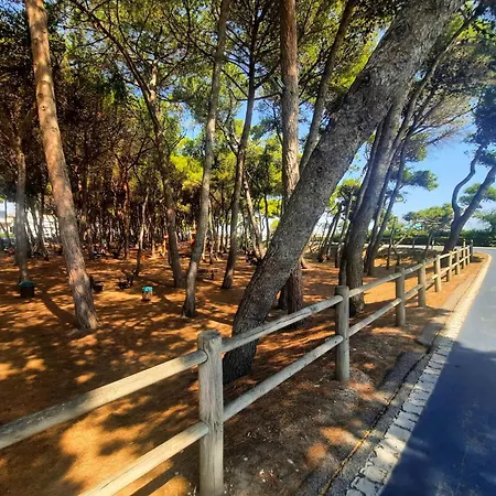 Pinolo Trilo Int 7 - Myho Casa Appartamento