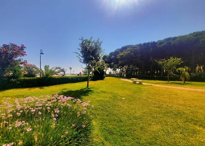 Pinolo Trilo Int 7 - Myho Casa *