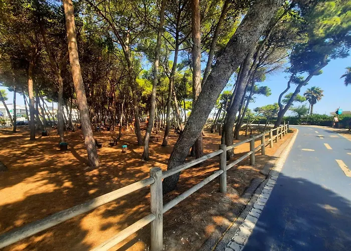 Pinolo Trilo Int 7 - Myho Casa Apartament